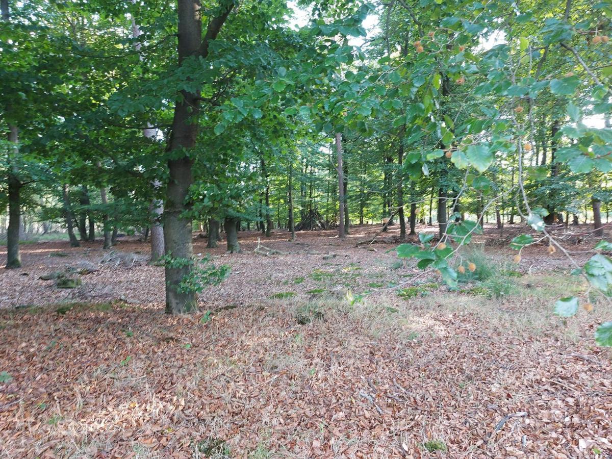 Chalet Wanama. Gelegen Op Het Vakantiepark Het Lierderholt Op De Veluwe. Villa Beekbergen Esterno foto