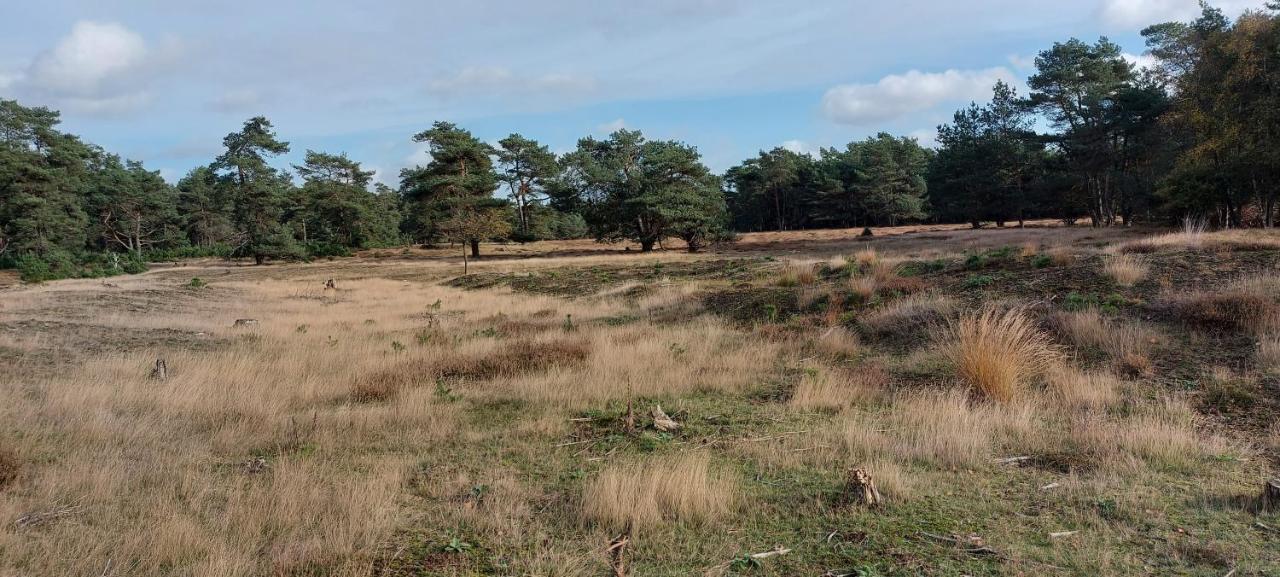 Chalet Wanama. Gelegen Op Het Vakantiepark Het Lierderholt Op De Veluwe. Villa Beekbergen Esterno foto